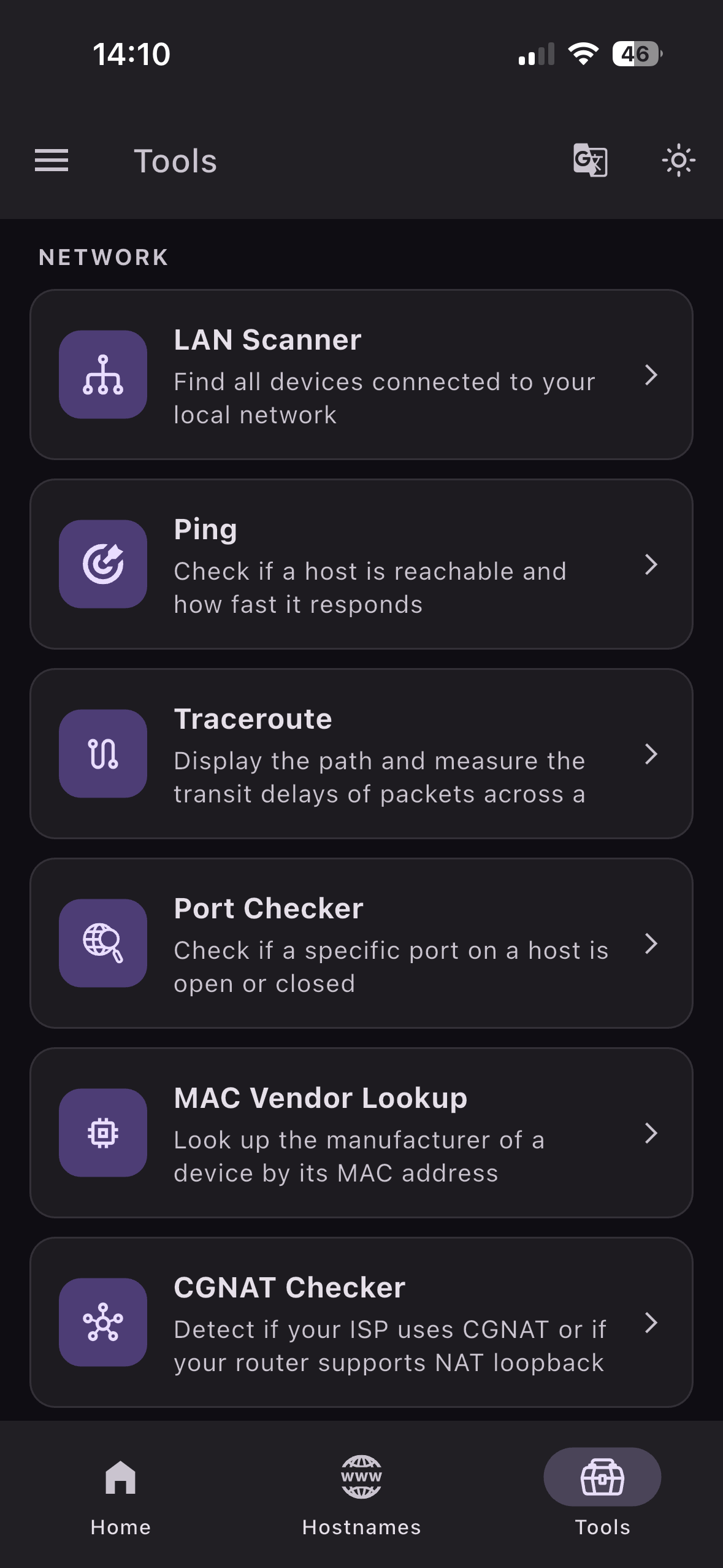 FastDDNS network tools screen