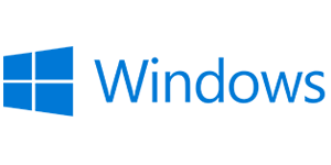 Windows — DDNS update client running as a background service on Windows PC or server